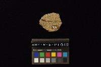 陶片藏品圖，第3張