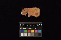 陶片藏品圖，第1張