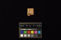 陶片藏品圖，第4張