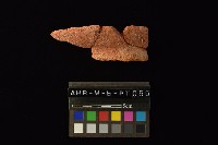 陶罐藏品圖，第3張