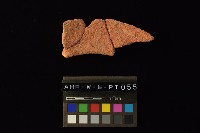 陶罐藏品圖，第4張