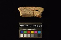 陶罐藏品圖，第4張