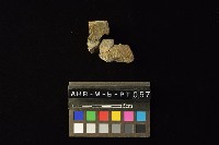 陶罐藏品圖，第3張