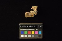 陶罐藏品圖，第4張