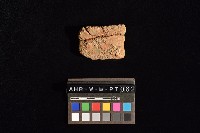 陶片藏品圖，第2張