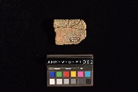 陶片藏品圖，第4張