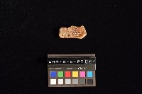 陶片藏品圖，第3張