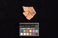 陶片藏品圖，第3張