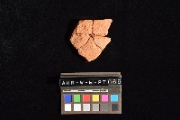 陶片藏品圖，第4張