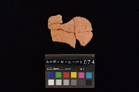 陶片藏品圖，第4張