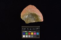 陶片藏品圖，第3張