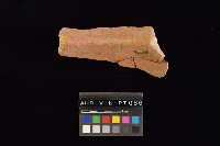 陶罐藏品圖，第2張