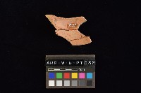 陶片藏品圖，第1張