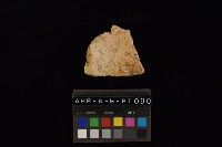 陶片藏品圖，第4張