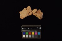 連杯形器藏品圖，第2張