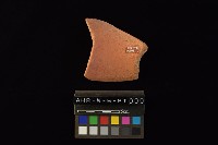 陶片藏品圖，第4張