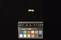 陶環藏品圖，第4張