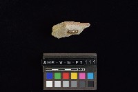 陶罐藏品圖，第3張