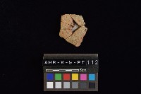 陶片藏品圖，第3張