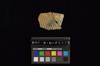 陶片藏品圖，第3張