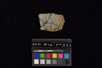 陶片藏品圖，第4張