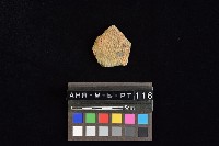 陶片藏品圖，第4張
