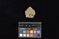 陶片藏品圖，第1張