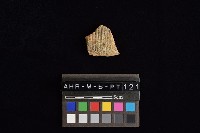 陶片藏品圖，第2張