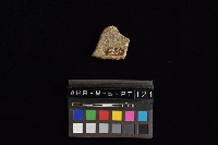 陶片藏品圖，第4張