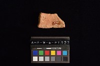 陶片藏品圖，第2張