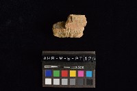 陶罐藏品圖，第1張