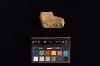 陶罐藏品圖，第4張