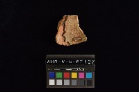 陶片藏品圖，第4張