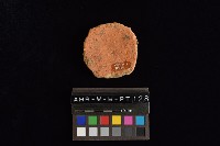 陶片藏品圖，第1張