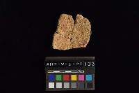 陶片藏品圖，第4張