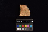 陶片藏品圖，第3張