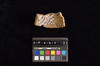 陶片藏品圖，第2張