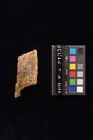 陶片藏品圖，第2張