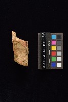 陶片藏品圖，第1張