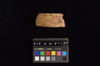 陶片藏品圖，第1張