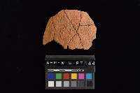 陶片藏品圖，第1張