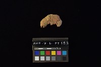 陶片藏品圖，第3張