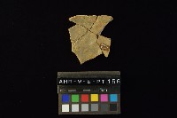 陶片藏品圖，第2張