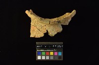 陶罐藏品圖，第6張