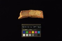 陶罐藏品圖，第2張