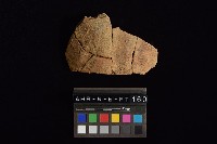 陶片藏品圖，第3張