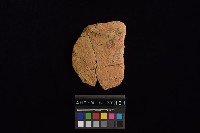 陶片藏品圖，第3張