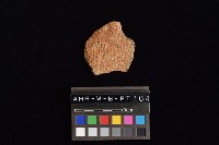 陶片藏品圖，第3張