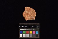 陶片藏品圖，第4張