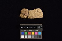 陶片藏品圖，第2張